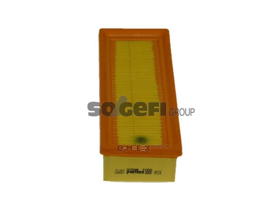 OEM FILTER ASSY, AIR ELEMENT A928