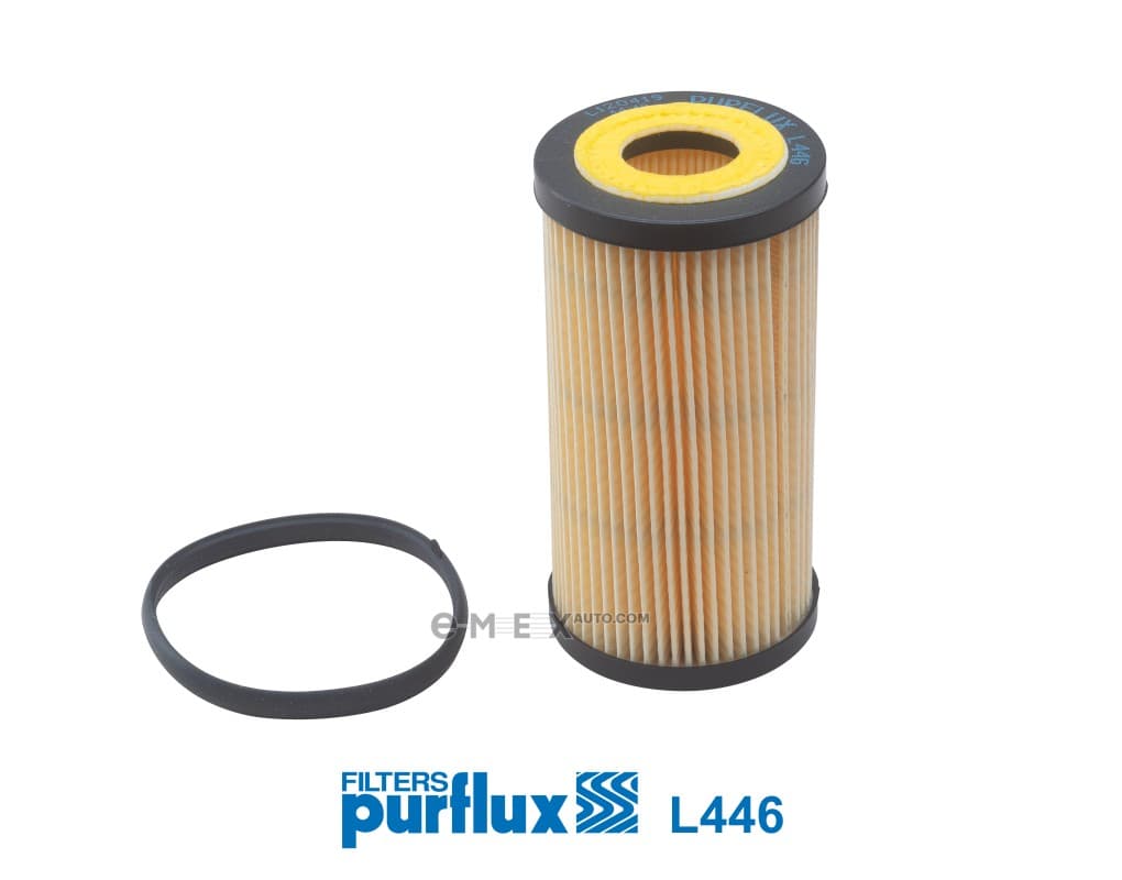 OEM FILTER ASSY, FUEL PUMP L446