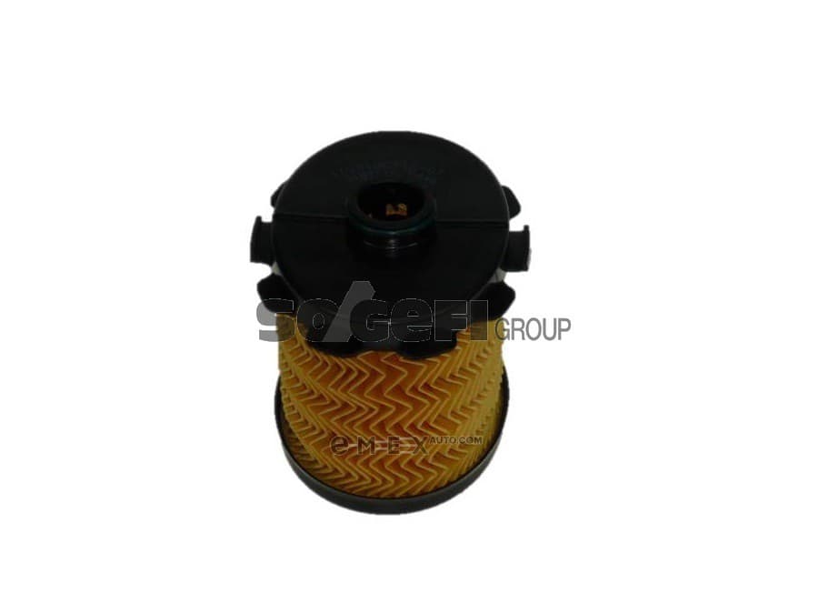 OEM FILTER ASSY, FUEL PUMP C446