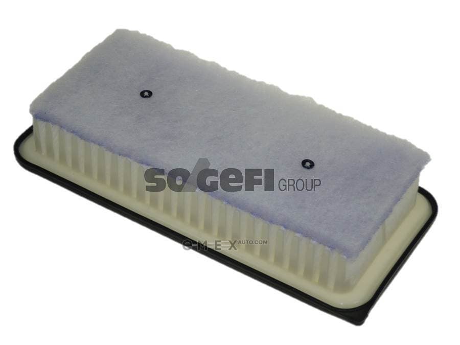 OEM FILTER ASSY, AIR ELEMENT A1251