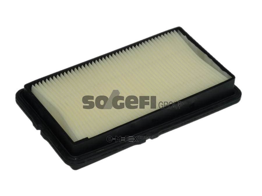 OEM FILTER ASSY, AIR ELEMENT A1006