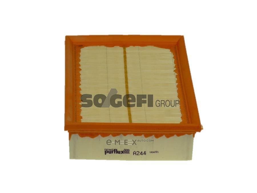 OEM FILTER ASSY, AIR ELEMENT A244