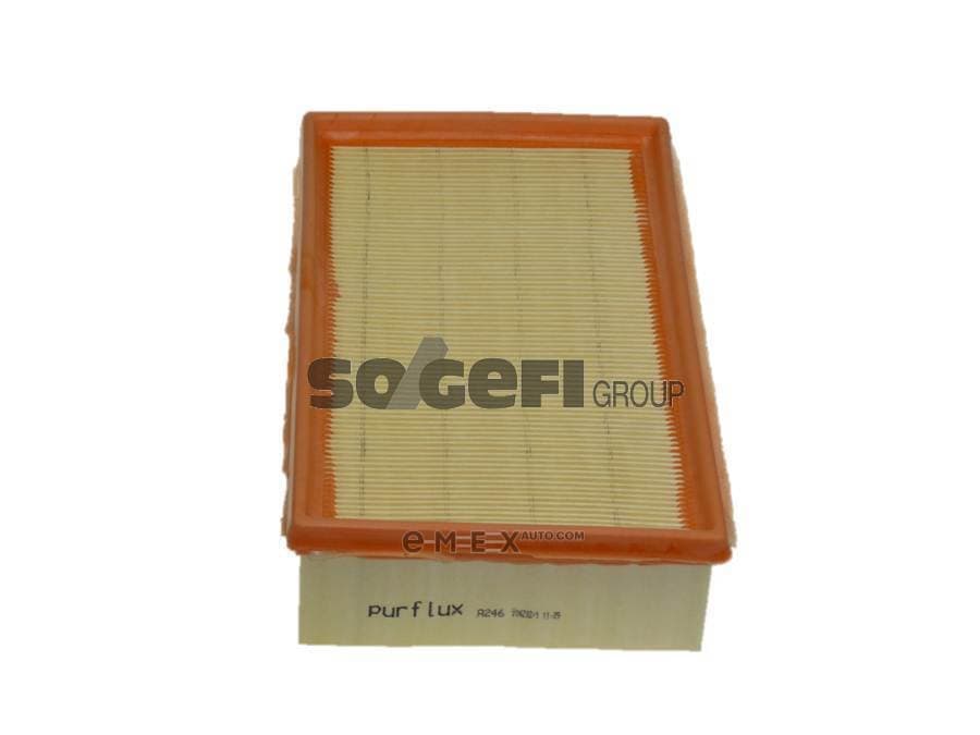 OEM FILTER ASSY, AIR ELEMENT A246