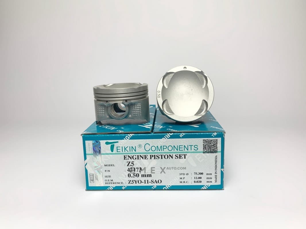 OEM PISTON ASSY 42173050