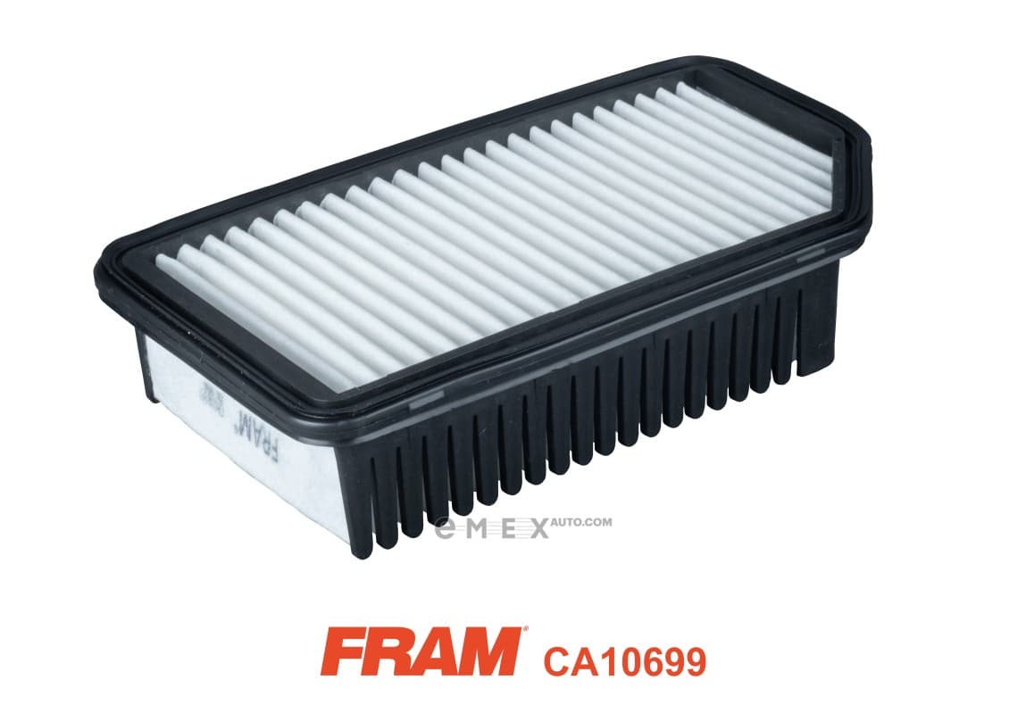 OEM AIR FILTER CA10699