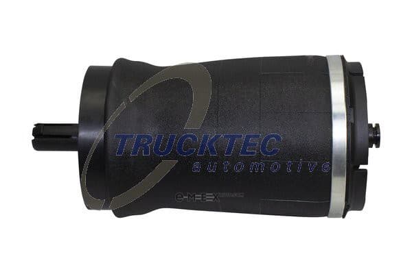 OEM AIR SPRING SUSPENSION 2230003