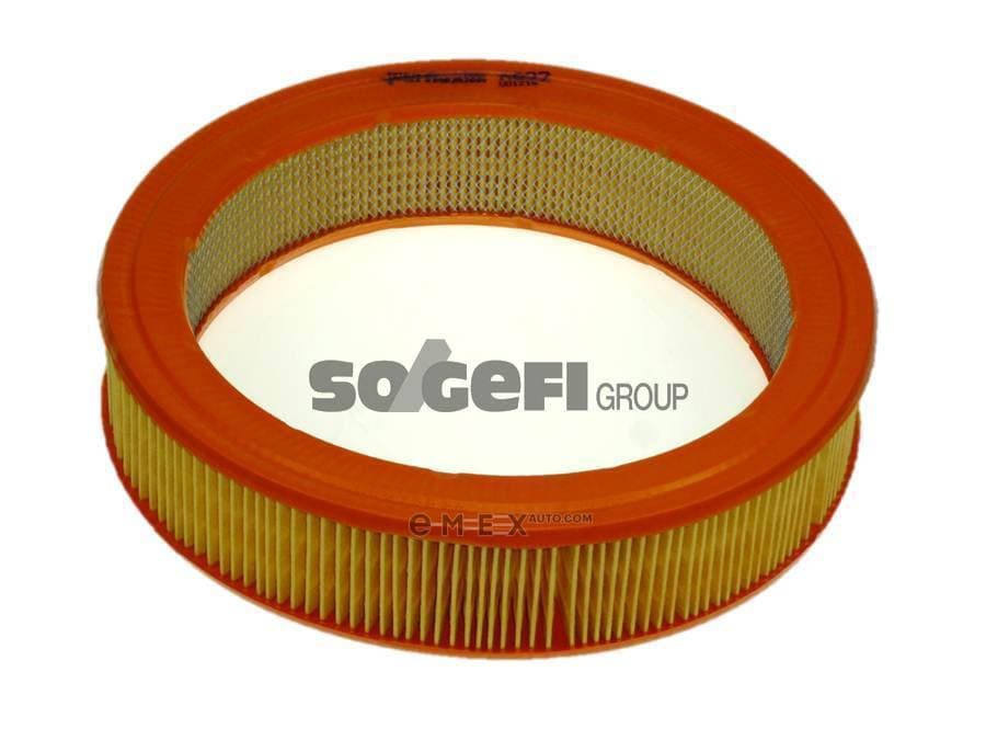 OEM FILTER ASSY, AIR ELEMENT A822