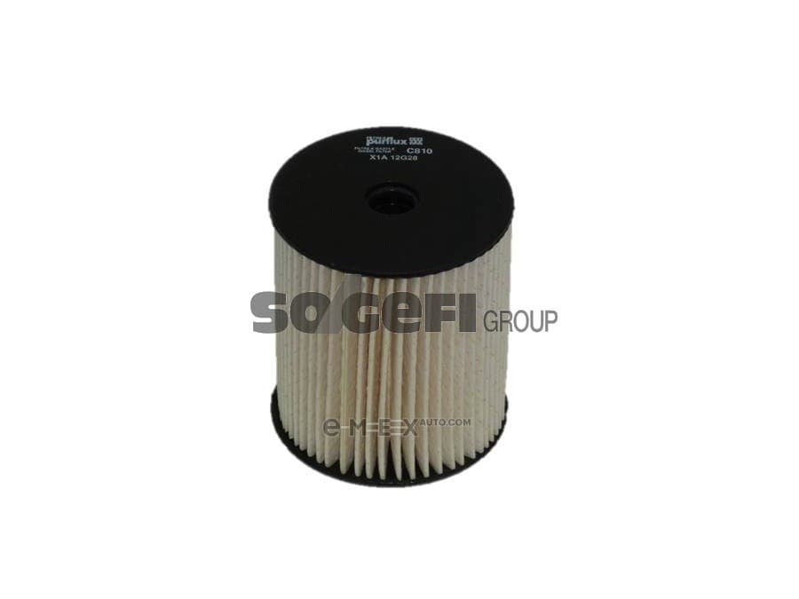 OEM FILTER ASSY, FUEL PUMP C810