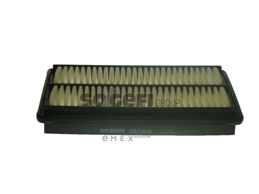 OEM FILTER ASSY, AIR ELEMENT A1752