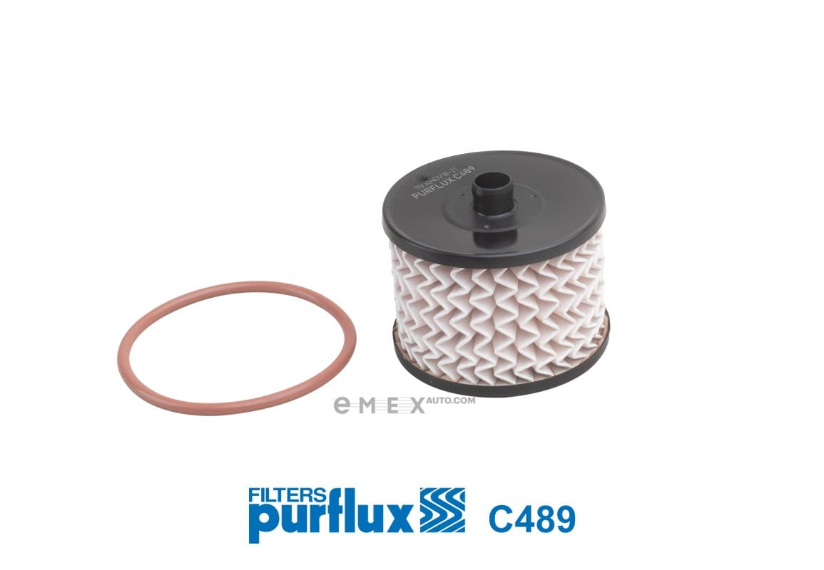 OEM FILTER ASSY, FUEL PUMP C489