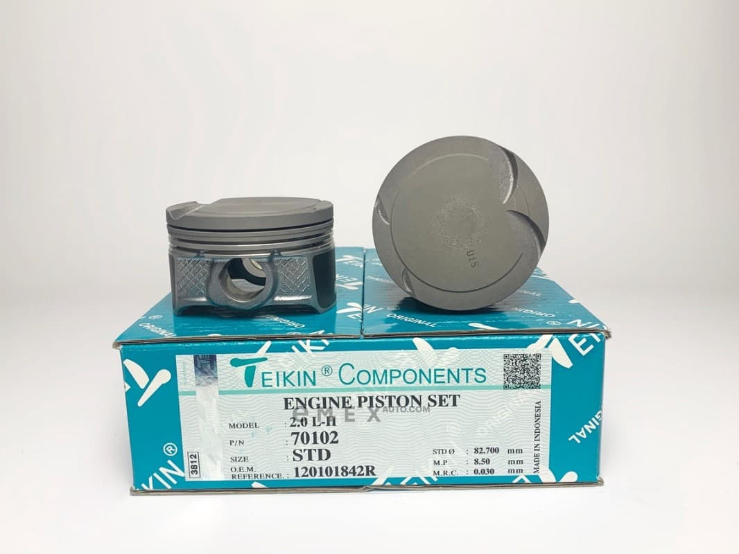 OEM PISTON ASSY 70102STD