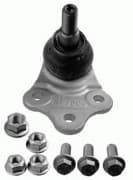 OEM Ball Joint Lower Evoq 3100801