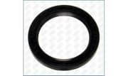 OEM SEAL RING 15074500