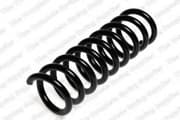 OEM COIL SPRING 4256820