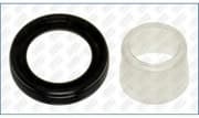 OEM SEAL RING 15097400