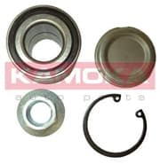 OEM BEARING, HUB 5600048