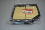 OEM ELEMENT ASSY., AIR C 17220RNAA00