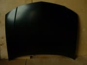 OEM HOOD 6510095F0C