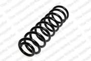 OEM COIL SPRING 4056845