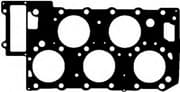 OEM CYL. HEAD GASKET 10133600