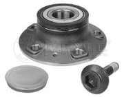 OEM WHEEL HUB WITH BRG FRT/A4/A5/A 1006500011