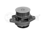 OEM WATER PUMP 1130120040