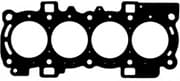 OEM GASKET, RUBBER 613761000