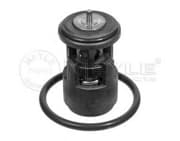 OEM THERMOSTAT 1001211025