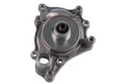 OEM WATER PUMP/A6/A8/Q7 980296