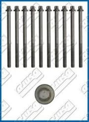 OEM CYLINDER HEAD BOLT SE 81004800