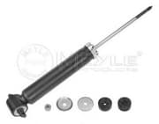 OEM SHOCK ABSORBER 0267250001