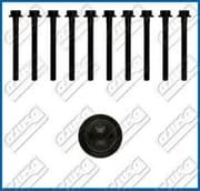 OEM CYLINDER HEAD BOLT SE 81017900