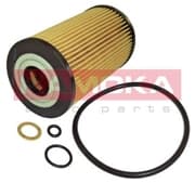 OEM OIL FILTER F111101