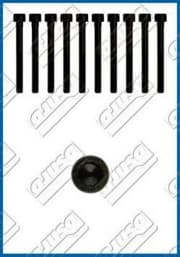 OEM CYLINDER HEAD BOLT SE 81027300