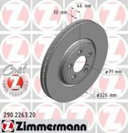 OEM BRAKE ROTOR 290226320