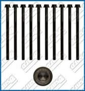 OEM CYLINDER HEAD BOLT SE 81002000