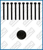 OEM CYLINDER HEAD BOLT SE 81007600