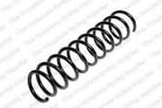 OEM COIL SPRING 4295827