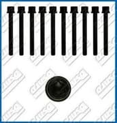 OEM CYLINDER HEAD BOLT SE 81003100