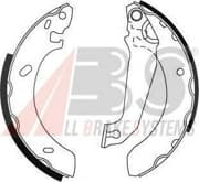 OEM Brake Shoes/ABS 8919