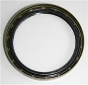 OEM SEAL RING 12015249B