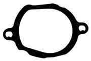 OEM GASKET, RUBBER 584070