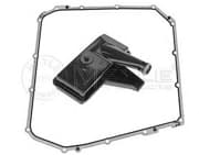 OEM FILTER ASSY, GEARBOX 1001370003