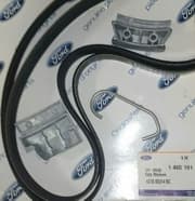 OEM KIT - DRIVE BELTS 1465191