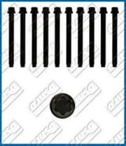 OEM CYLINDER HEAD BOLT SE 81003000