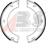 OEM Brake Shoes/ABS 8863