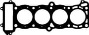 OEM CYL. HEAD GASKET 10084000