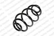 OEM COIL SPRING 4277817