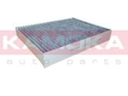 OEM FILTER ASSY, CABIN AIR F508701