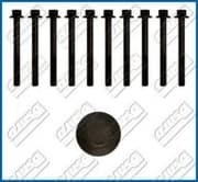 OEM CYLINDER HEAD BOLT SE 81002500